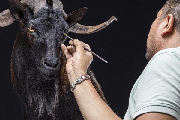 CABRASMALL CABRASMALL