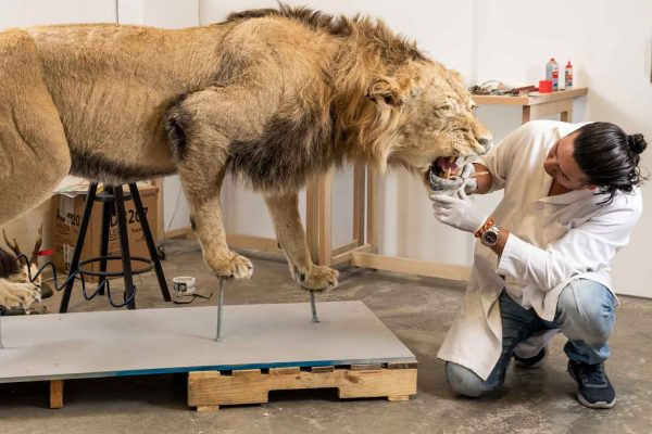 LEON-GALLERY-5 LEON-GALLERY-5