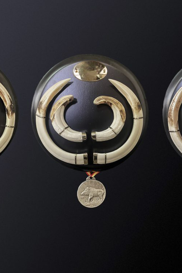 JABALI-EDITADOS JABALI-EDITADOS